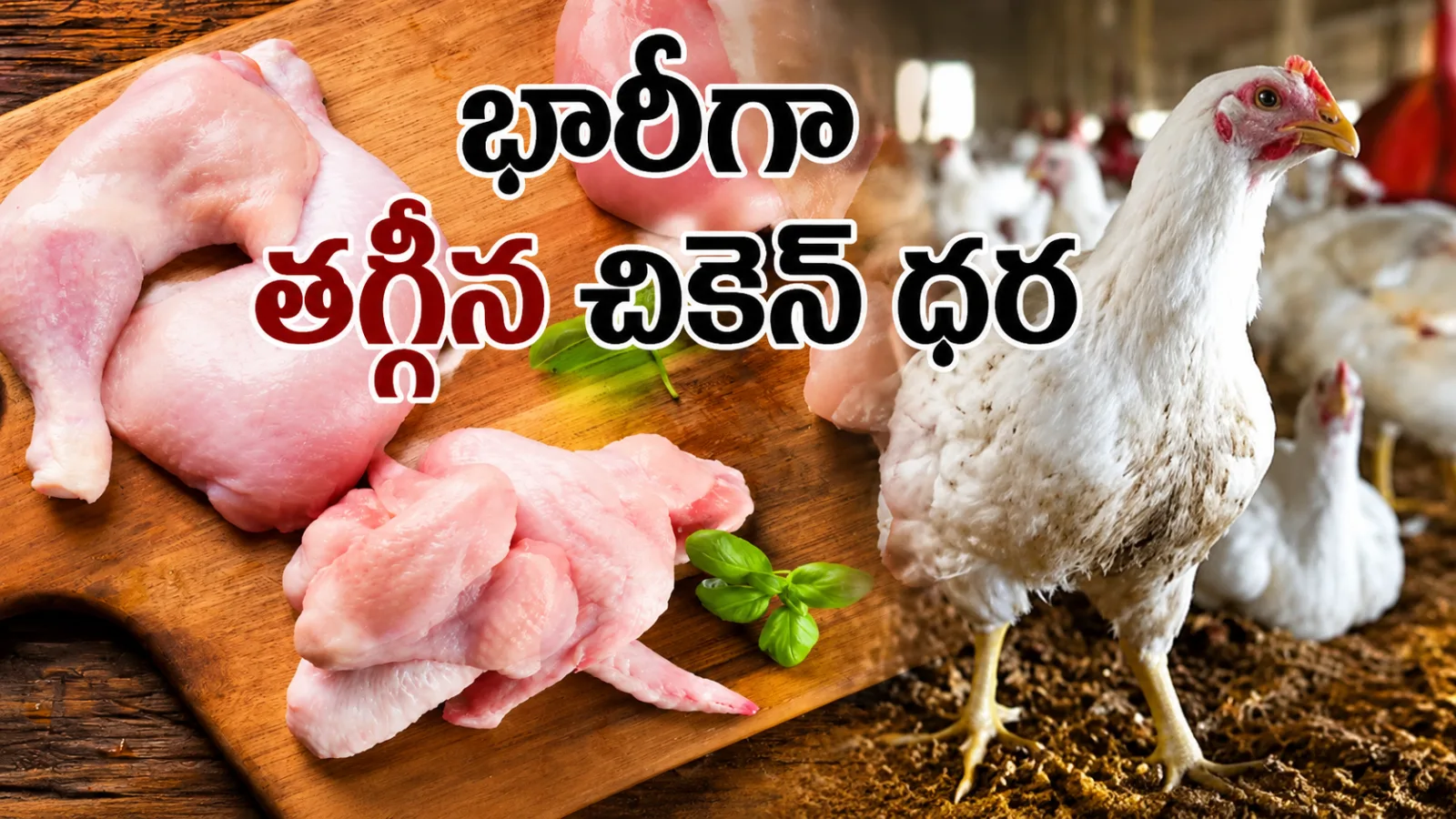 చికెన్ ధరలు భారీగా తగ్గాయి.. మాంసం ప్రియులకు ఊరట