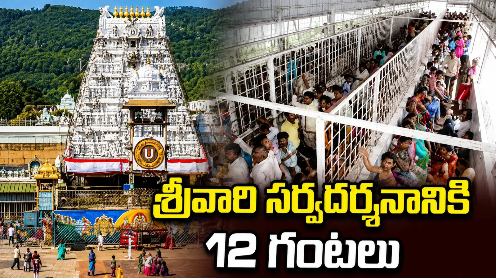శ్రీవారి సర్వదర్శనానికి 12 గంటలు.. వైకుంఠం క్యూ కాంప్లెక్స్లో భక్తుల రద్దీ