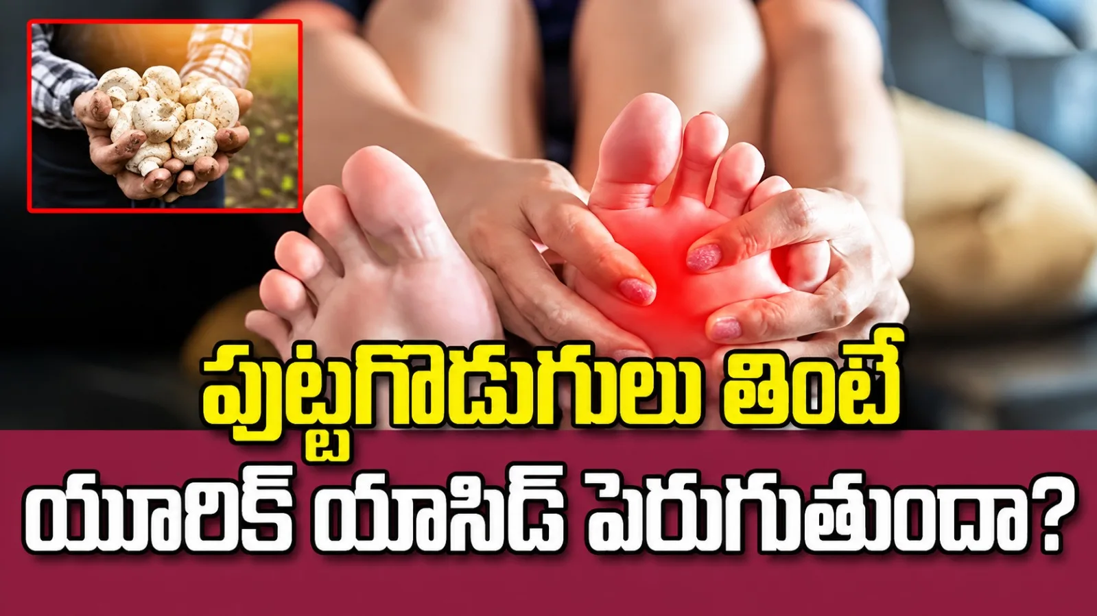 యూరిక్ యాసిడ్ ఉన్నవారు పుట్టగొడుగులు తినొచ్చా? నిజాలు తెలుసుకోండి